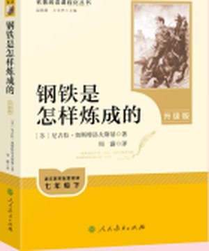《钢铁是怎样炼成的》封面