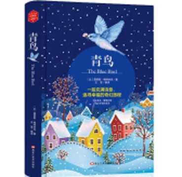 《青鸟》封面